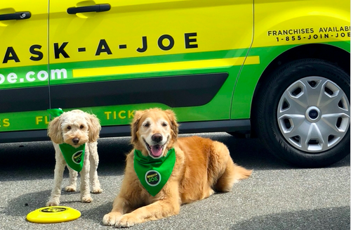 Two dogs laying in front of Yellow and Green service van with Yellow Frisbee
