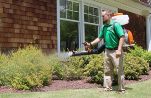 Mosquito Joe of South Central PA technician spraying bushes out of a home. 