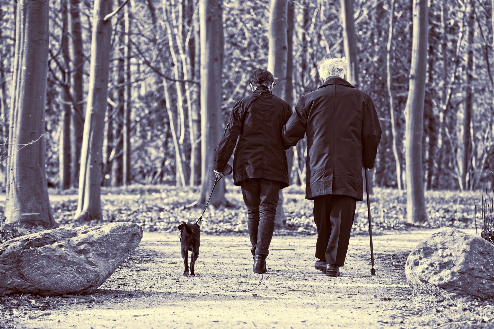 Couple walking dog on Outdoor Trail