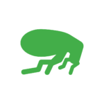 Green flea graphic