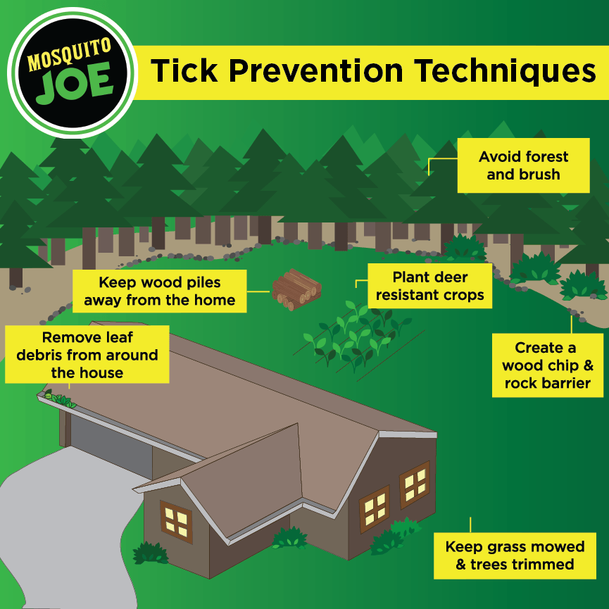 Important tips for tick prevention around your home.