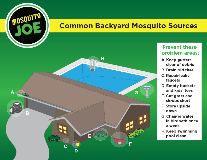 Image depicting common mosquito back yard areas. 